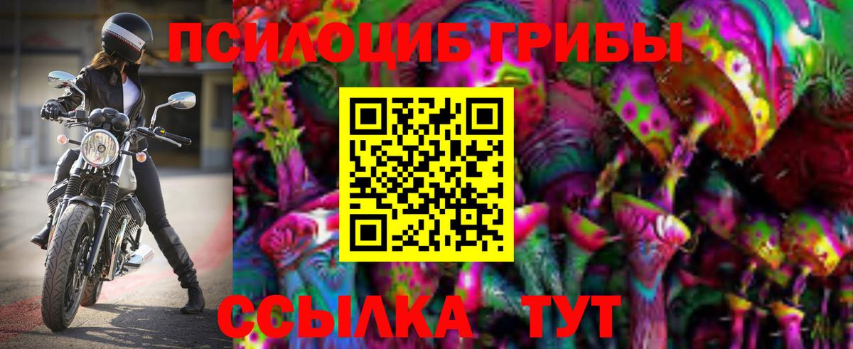 Липецк  Псилоцибиновые грибы MAGIC MUSHROOMS  Вход с VPN 